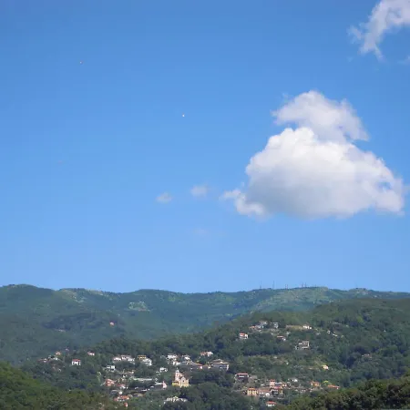 Genovese Elena Varazze